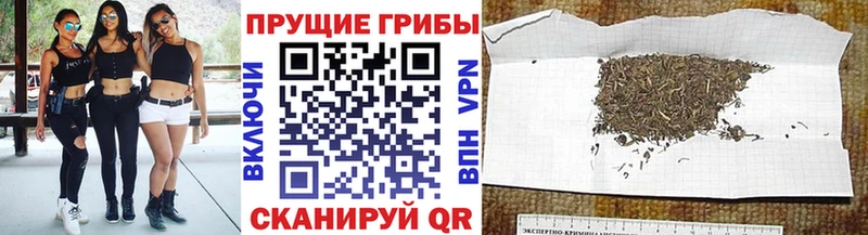 Псилоцибиновые грибы прущие грибы  Купить где  Бердск 