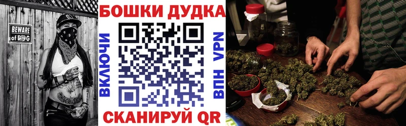 Купить закладки  Бердск  Марихуана сатива 